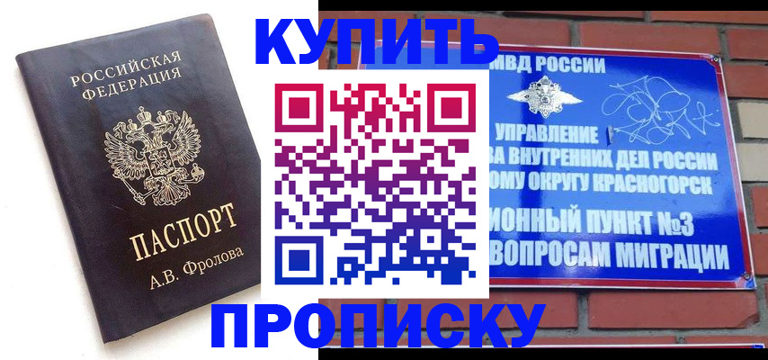 прописка поиск в Тайшете